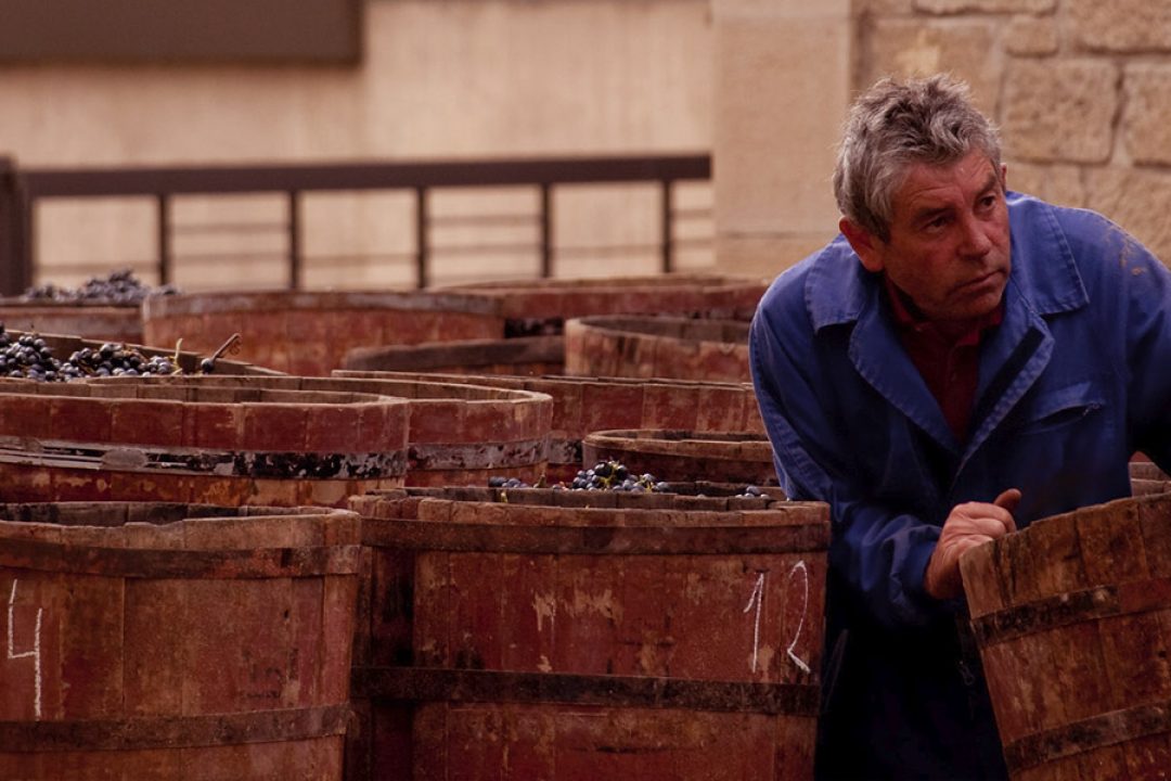 transporte-cisterna-uva-mosto-vendimias