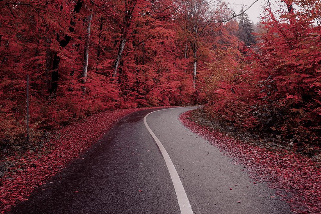 Conclusiones estudio futuro transporte carretera