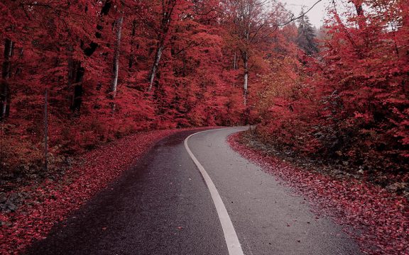 Conclusiones estudio futuro transporte carretera